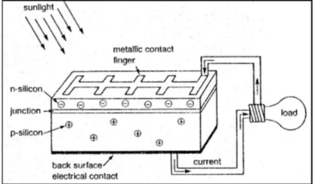 Gambar 2.1.  Diagram dari sebuah potongan Sel Surya (PV sel) 