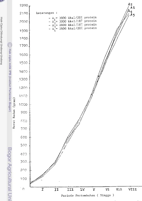 Grafik 2. Xataan Berat Badan per Minggu S e l a m ~  8 "Iinggu P e n e l i t i a n  