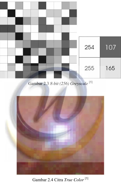 Gambar 2.3 8-bit (256) Greyscale  [5]