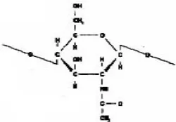 Gambar 1  Struktur molekul kitin.  