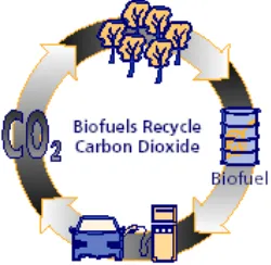 Gambar 2.1 Daur ulang yang terjadi dalam penggunaan bahan bakar-bio sebagai salah satu bahan bakar alternatif (US DOE-NREL, 2000)