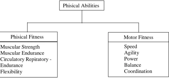 Gambar 1.  Pembagian Physical Abilities 