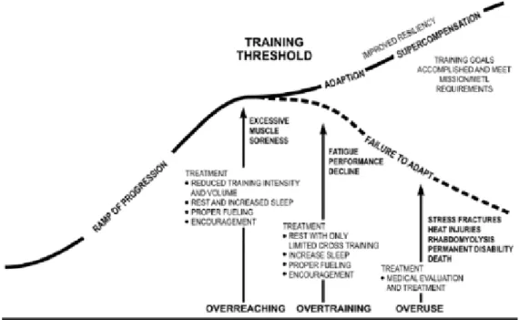 Gambar 2.1 Definisi Overtraining 