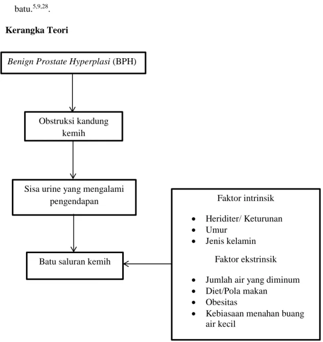 Gambar 6. Kerangka teori Benign Prostate Hyperplasi (BPH) 