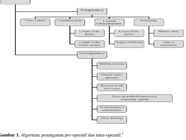 Gambar 1. Algoritme penanganan pre-operatif dan intra-operatif. 5