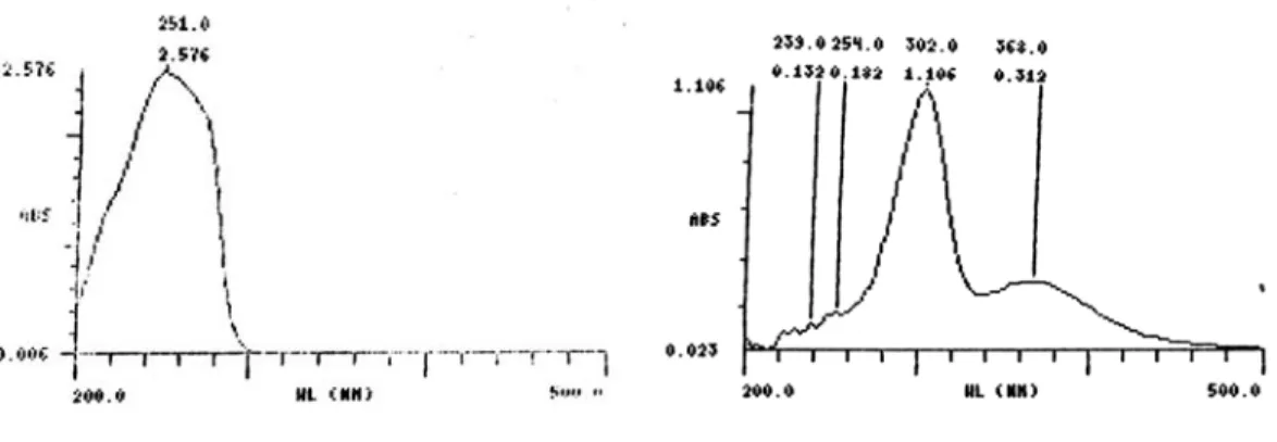 Gambar  3. Spektrum larutan baku (i) sefadroksil 6,0x10 -4  M dan (ii) hasil reaksi antara sefadroksil  2,0x10 -4  M dengan hasil kondensasi 2 mol etil asetoasetat dan 1 mol formaldehid dalam bufer  asetat 