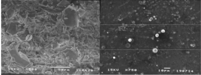 Gambar 4.3    Pengamatan mikroskopik nanocarrier dengan scanning electron  microscopy (SEM) nanocarrier HPMCP HP-55 tanpa 