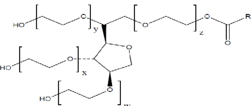 Gambar 4. Struktur molekul Tween 20 (Rowe dkk., 2009)  w + x + y + z = 20; R = asam laurat 
