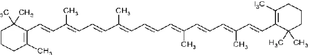 Gambar 1. Struktur kimia beta karoten (Kusumaningtyas and Limantara, 2009) 