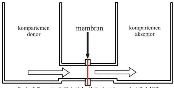Gambar 5. Skema alat uji difusi side by side (horizontal permeation) (Sari, 2012)