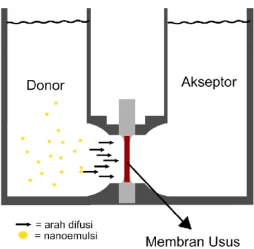 Gambar 6. Mekanisme kerja Ussing chamber tipe horizontal (dimodifikasi dari Sari, 2012) 