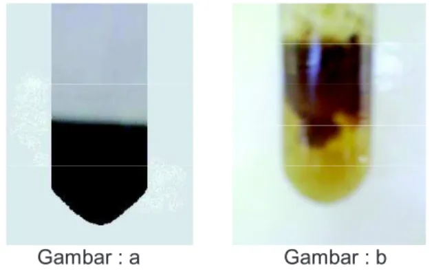 Gambar 2. Inhibisi ekstrak metanol kulit batang A. heterophyllus (nangka), A. altilis (sukun) dan A