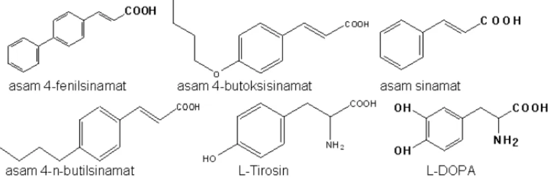 Gambar 7. Perbandingan struktur senyawa uji dengan substrat reaksi enzimatik tirosinase asam sinamat