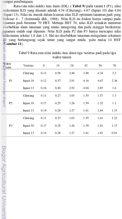 Tabel 9 Rata-rata nilai indeks luas daun tiga varietas padi pada tiga 