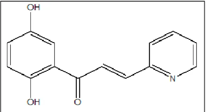 Gambar 2. Senyawa 1-(2,5-dihidroksifenil)-(3-piridin-2-il)-propenon,  (Wibowo, 2013). 