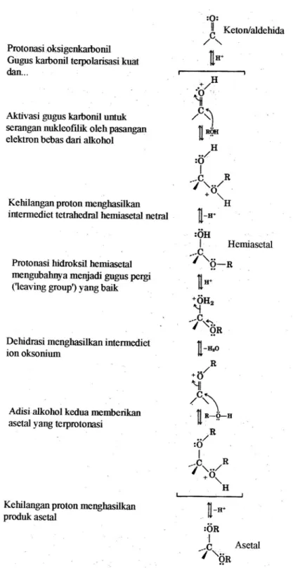 Gambar 2.3. Mekanisme pembentukan asetal yang dikatalisis asam. 