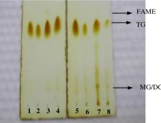 Gambar 8. Metanolisis asam lemak murni  dari CRBO dan SBO (1:20  minyak/metanol, 10%HCl, 70 o C)