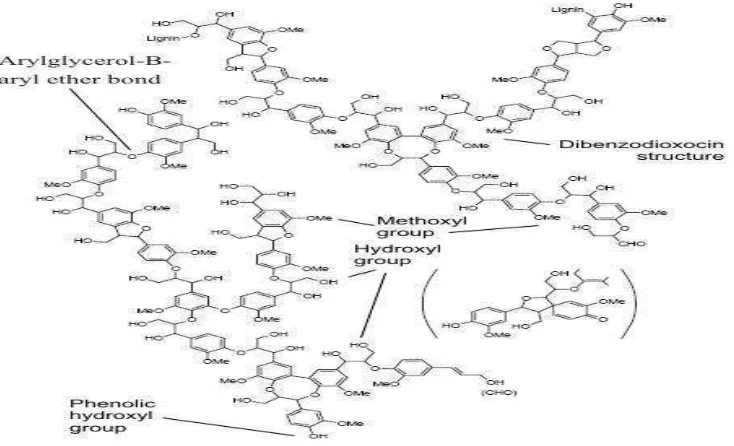 Gambar 6.  Bentuk struktur lignin Sumber : http://isroi.com/2008/11/23/karakteristik-lignoselulosa/ 