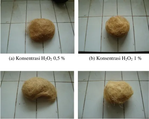 Gambar 4.1 Serat kelapa hasil proses pemutihan dengan variasi konsentrasi H 2 O 2   