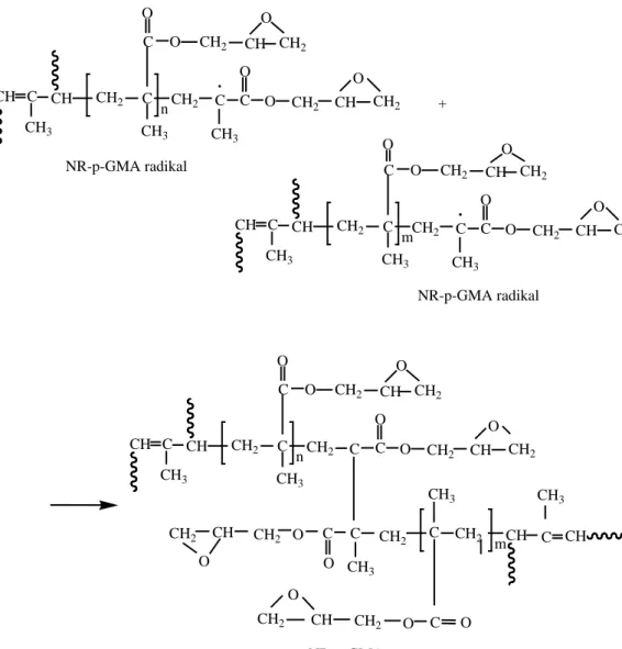 Gambar 2.2 Mekanisme Reaksi Grafting Glysidil Metakrilat pada Karet Alam  (Eddiyanto, 2007) 