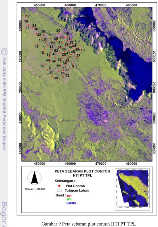 Gambar 9 Peta sebaran plot contoh HTI PT TPL  