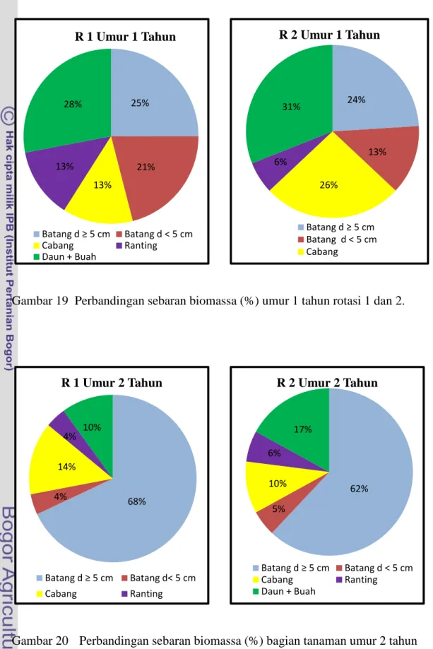Gambar 19  Perbandingan sebaran biomassa (%) umur 1 tahun rotasi 1 dan 2.  