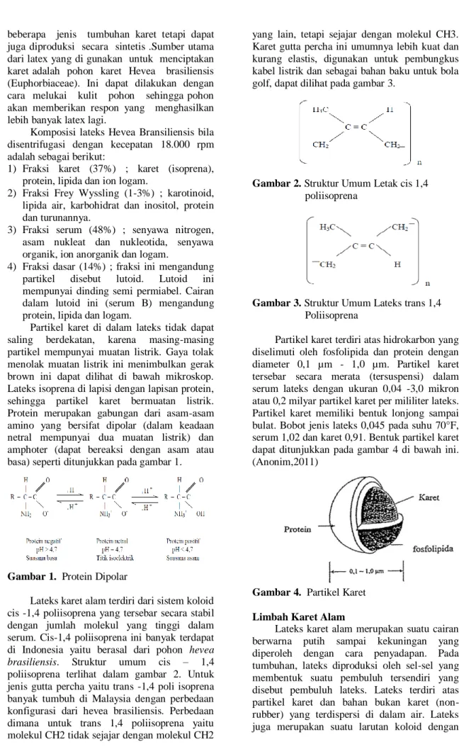 Gambar 1.  Protein Dipolar 
