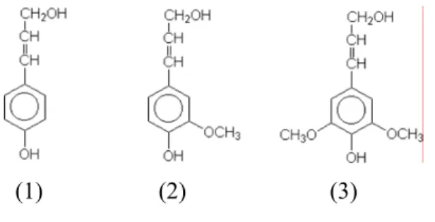 Gambar 1. Unit Fenilpropana penyusun lignin. (1) p-coumaril alkohol, (2)  koniferil alkohol, (3) sinapil alkohol (Deacon 1997)