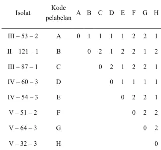 Tabel 3.  Hasil skoring uji inkompatibilitas somatik  isolat Jamur Ganoderma sp yang berasal  dari kebun benih A