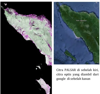 Gambar 3-1. Citra PALSAR mosaic daerah Aceh tahun 2008. 
