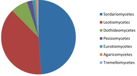 Gambar 3.   Diagram hasil analisis BLAST terhadap 299 sekuen isolat jamur endofit daun jarum Pinus  radiata