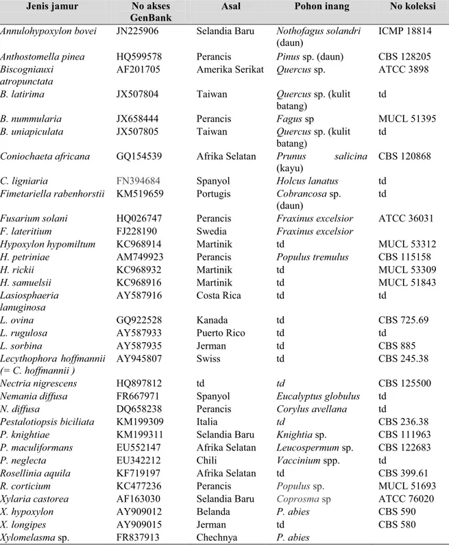Tabel 2.   Sekuen referensi dari database Genbank (GB) yang digunakan dalam analisis filogenetik bersama  dengan sekuen jamur Sordariomycetes yang diisolasi dari daun jarum P
