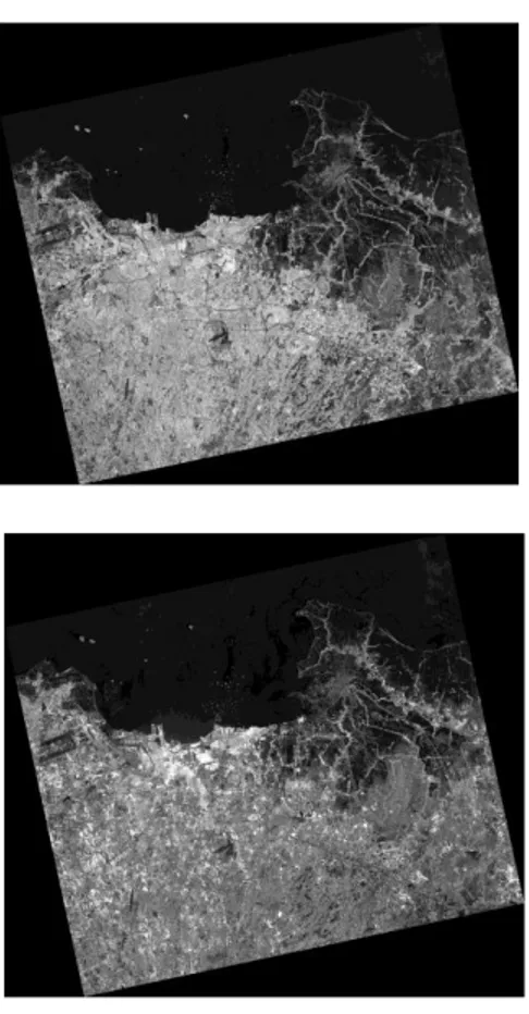 Gambar 1. Polarisasi HV (atas) dan HH  (bawah). Citra (c) JAXA-METI. 
