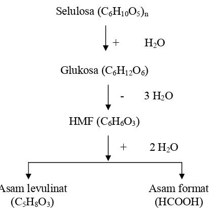 Gambar 4. Skema reaksi terbentuknya HMF dari selulosa pada saat 
