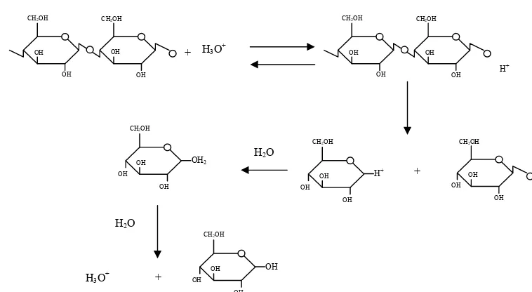 Gambar 5. Mekanisme reaksi hidrolisis selulosa oleh asam (Humprey, 1979)  