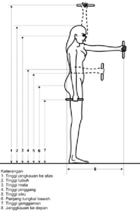 Gambar 5. Cara Mengukur Antropometri dalam Posisi Berdiri 