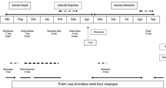 Gambar 2  Kegiatan pertanian tradisional di Kalimantan Selatan (Ramonteu  et al.     