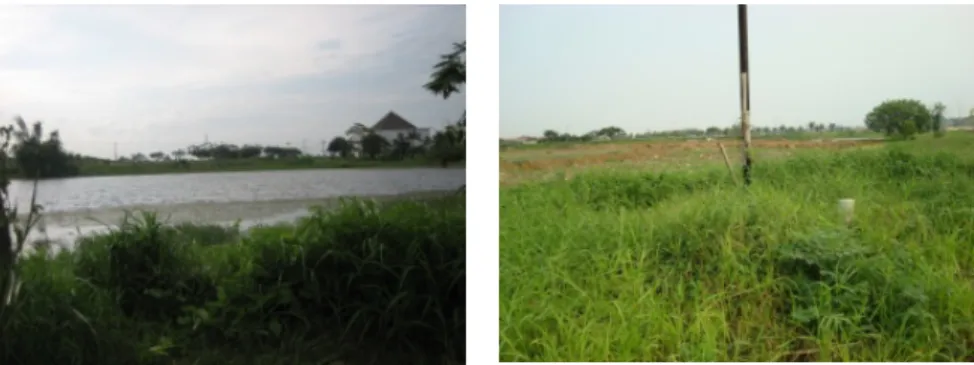 Gambar 2.11. Open Space di sekitar kawasan site 