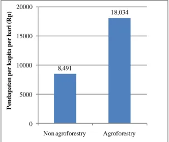 Gambar 4. Pendapatan per kapita per hari pada kelompok petani ‘non agroforestry’ dan 