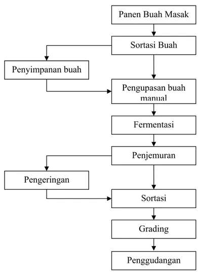 Gambar 1. Tahapan pengolahan kakao primer  (Sumber: Widyotomo, et al., 2004)  Penjemuran 