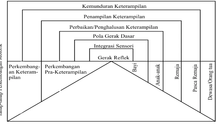 Gambar 4 Tahap-tahap perkembangan motorik, pada tahap-tahap Pencapaian   Perilaku Motorik 