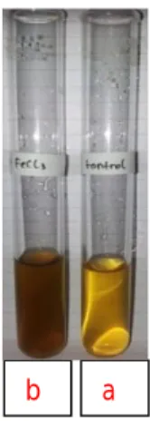 Gambar 1. Uji pendahuluan senyawa flavonoid ekstrak etanol buah mengkudu  Hasil  uji  pendahuluan 