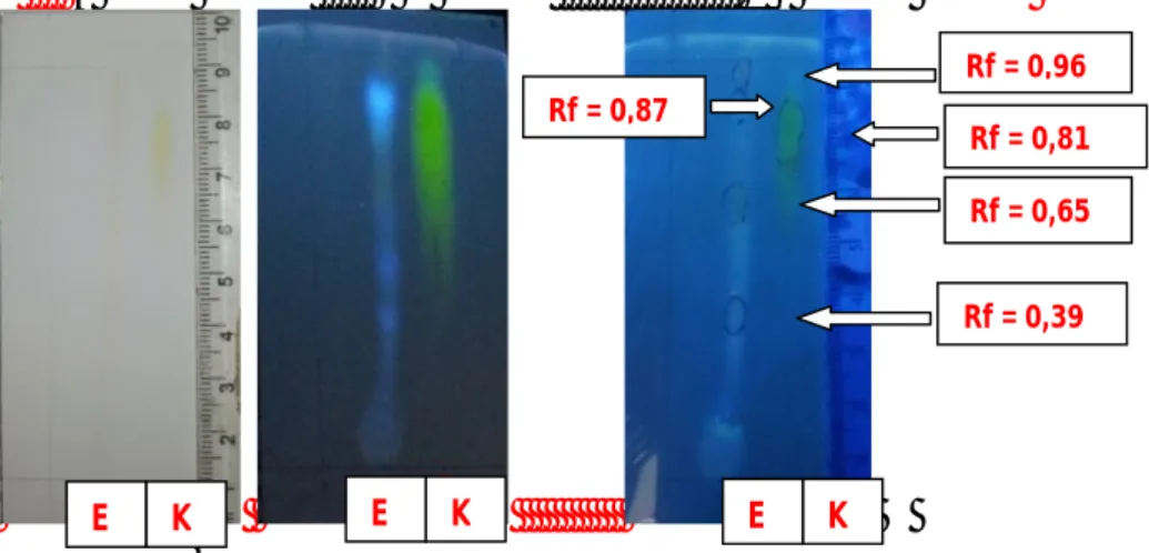 Gambar 2. Hasil Identifikasi Senyawa Flavonoid   Hasil  uji  kromatografi  lapis  tipis 