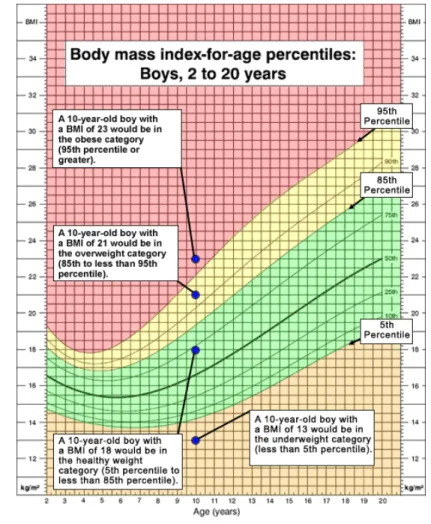 Gambar 2.6.BMI pada anak laki-laki 