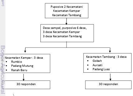 Gambar  3  Teknik sampling pengambilan data primer 