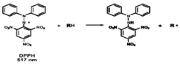 Gambar 1. struktur DPPH dan reaksinya dengan antioksidan 