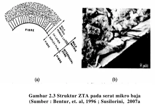 Gambar 2.3 Struktur ZTA pada serat mikro baja  (Sumber : Bentur, et. al, 1996 ; Susilorini,  2007a 