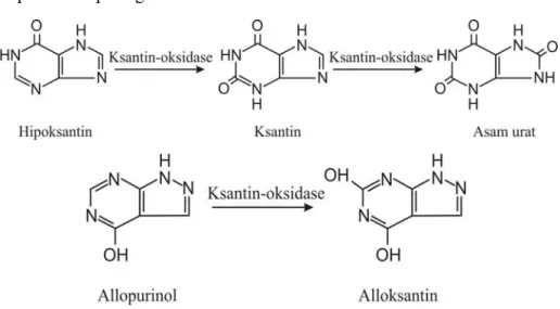 Gambar 4. Mekanisme Penghambatan Allopurinol Terhadap Enzim Ksantin  Oksidase Pada Pembentukan Asam Urat  (Schunack et al., 1990)