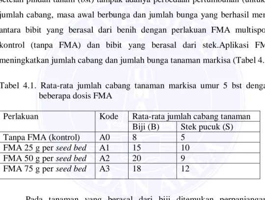 Tabel  4.1.  Rata-rata  jumlah  cabang  tanaman  markisa  umur  5  bst  dengan  aplikasi  beberapa dosis FMA  