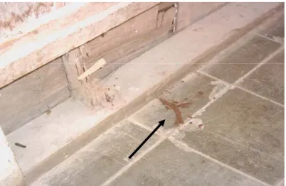 Gambar 2  Contoh lubang kembara pada lantai berlubang yang dibuat rayap tanah. 